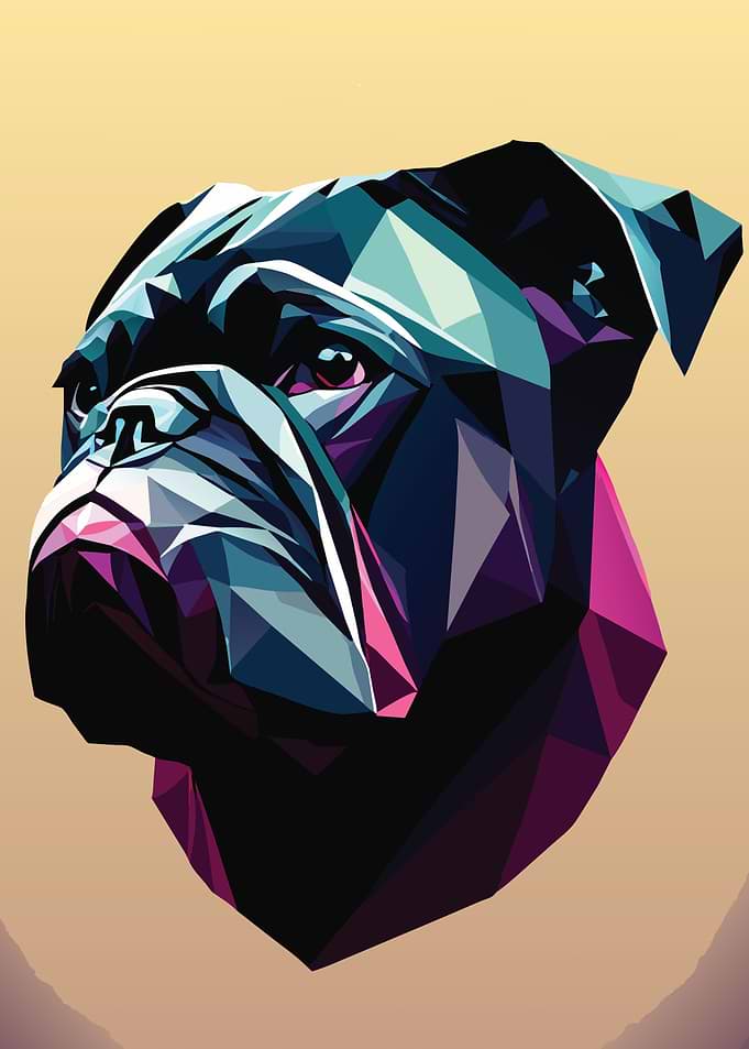 My Dog Bulldog