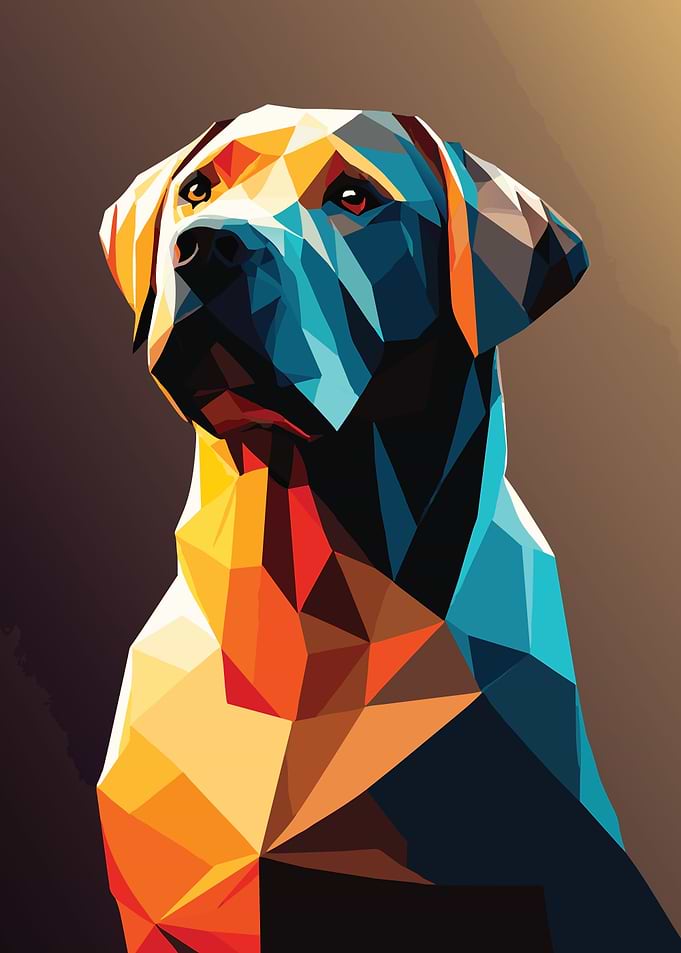 My Dog Labrador Retriever
