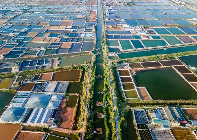 Shrimp breeding farm view