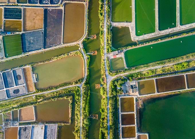 Shrimp breeding farm view