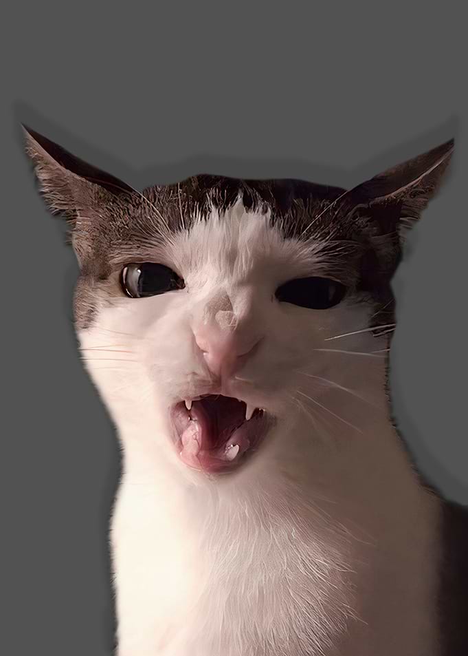 Crunching cat meme