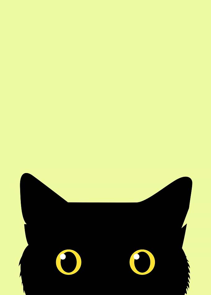 Funny Cats Animal Geek