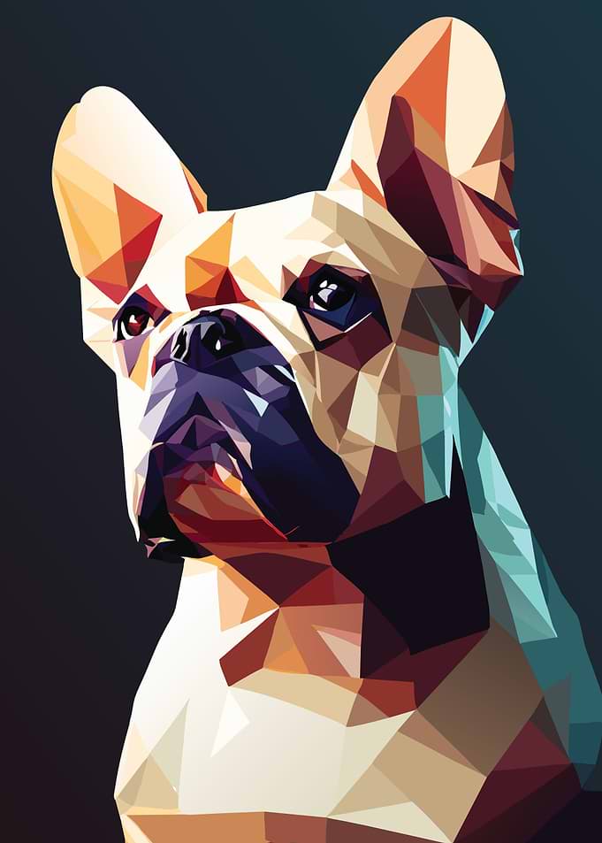 My Dog French Bulldog