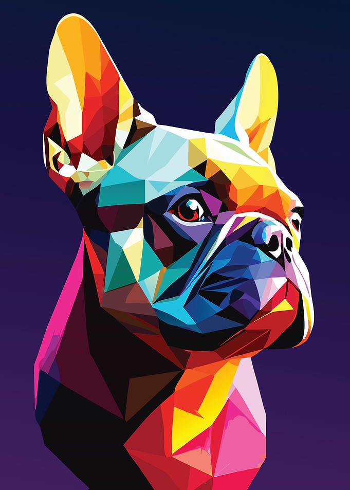 My Dog French Bulldog