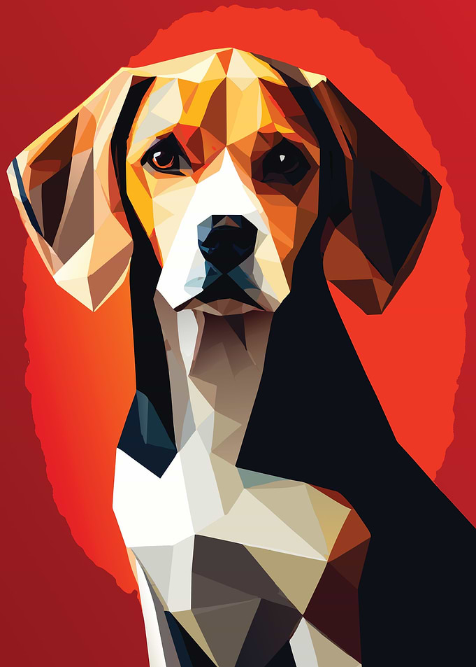 My Dog Beagle