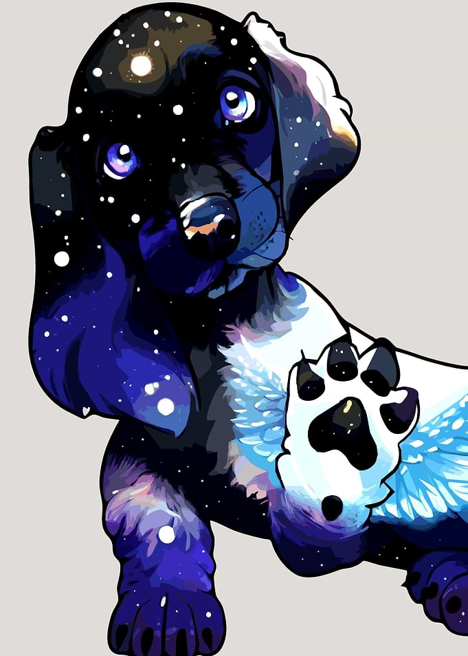 A cute Dachshund 023