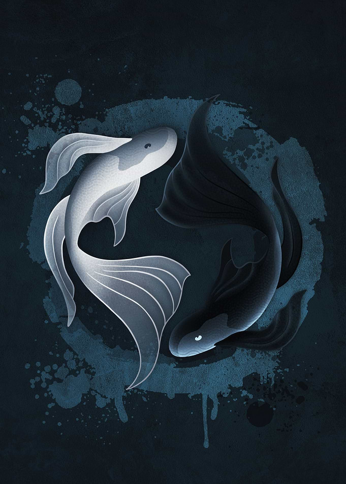 Fish Yan Yang