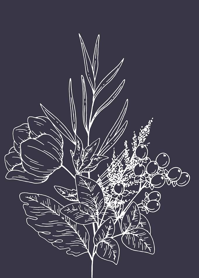 Lovely Flowers