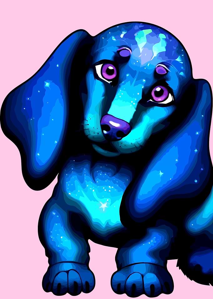 A cute Dachshund 025