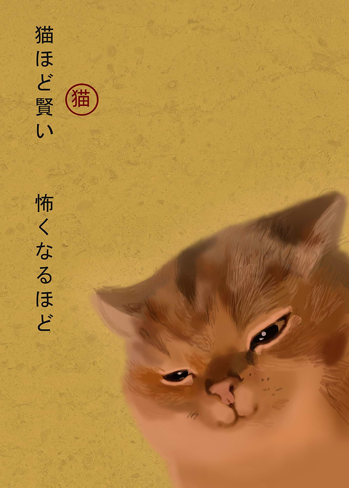 wise cat with smile