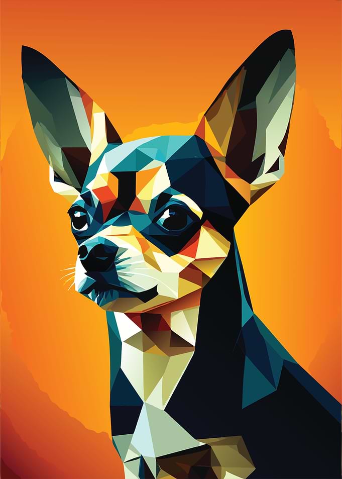 My Dog Chihuahua