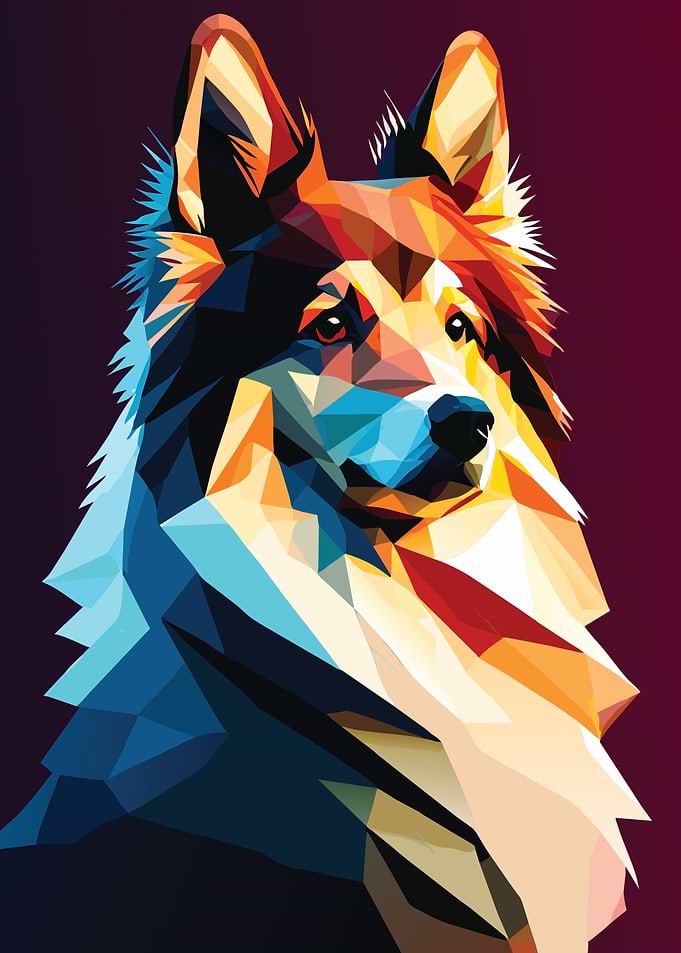 My Dog Shetland Sheepdog
