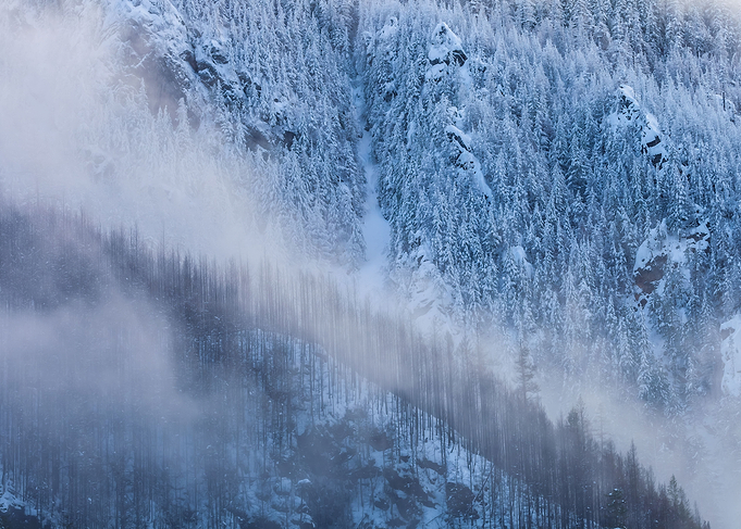 Winter Scene