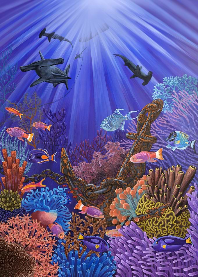 Underwater Sea Life