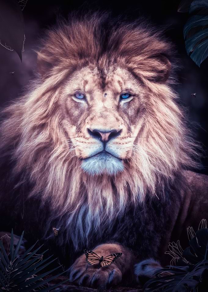 Lion sitting in the jungle