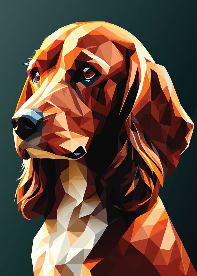 My Dog Cocker Spaniel