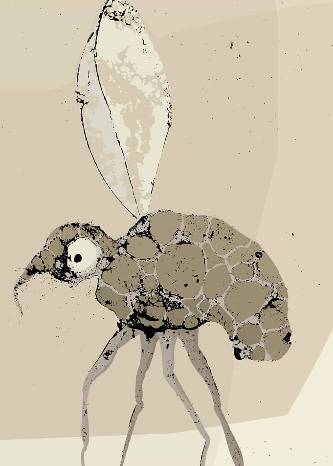 Mosquito