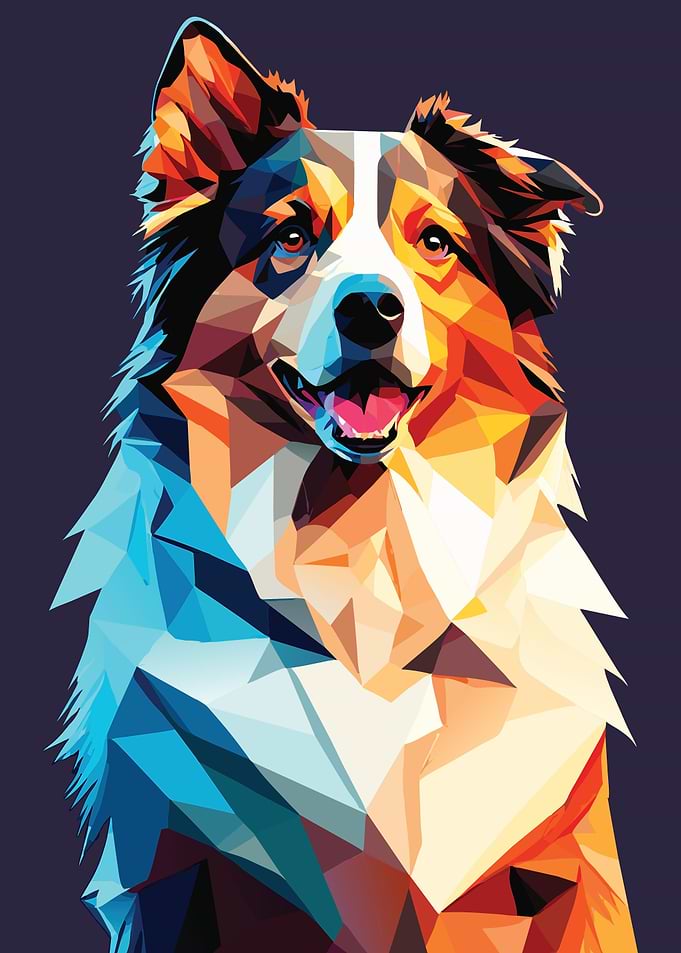 My Dog Australian Shepherd