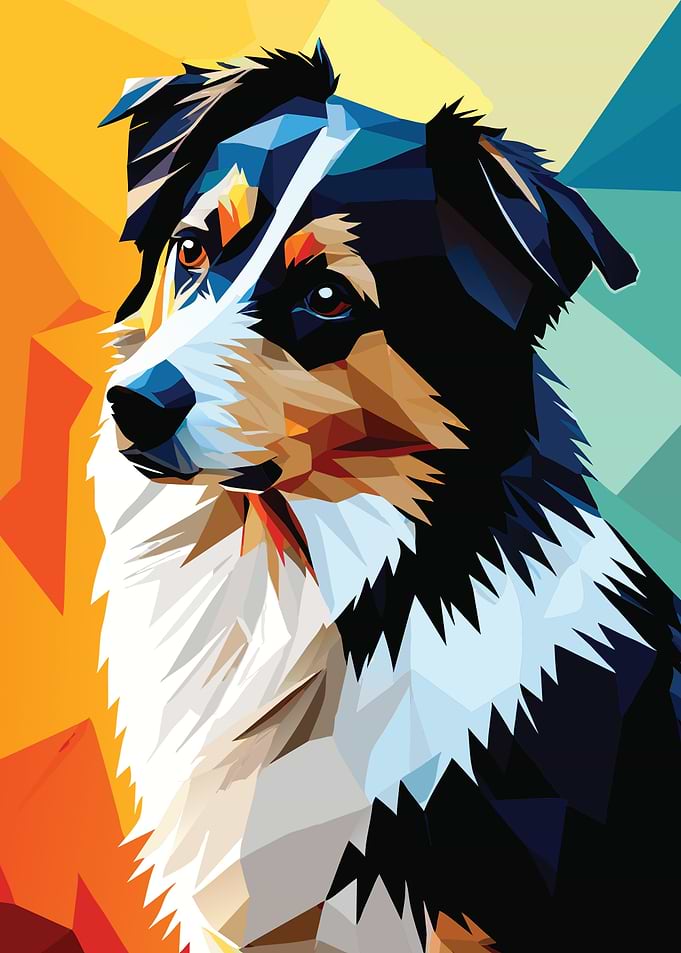 My Dog Australian Shepherd