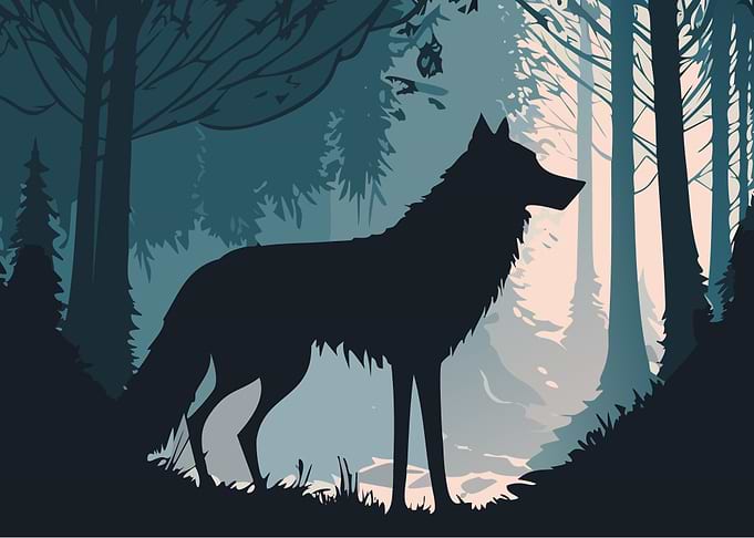 Lone Wolfs Vigil
