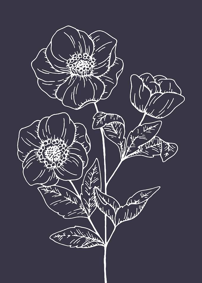 Summer Flowers