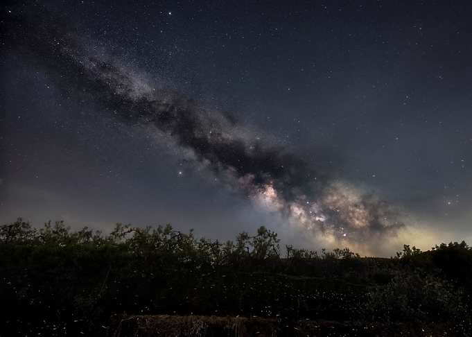 Fireflies under Milky Way