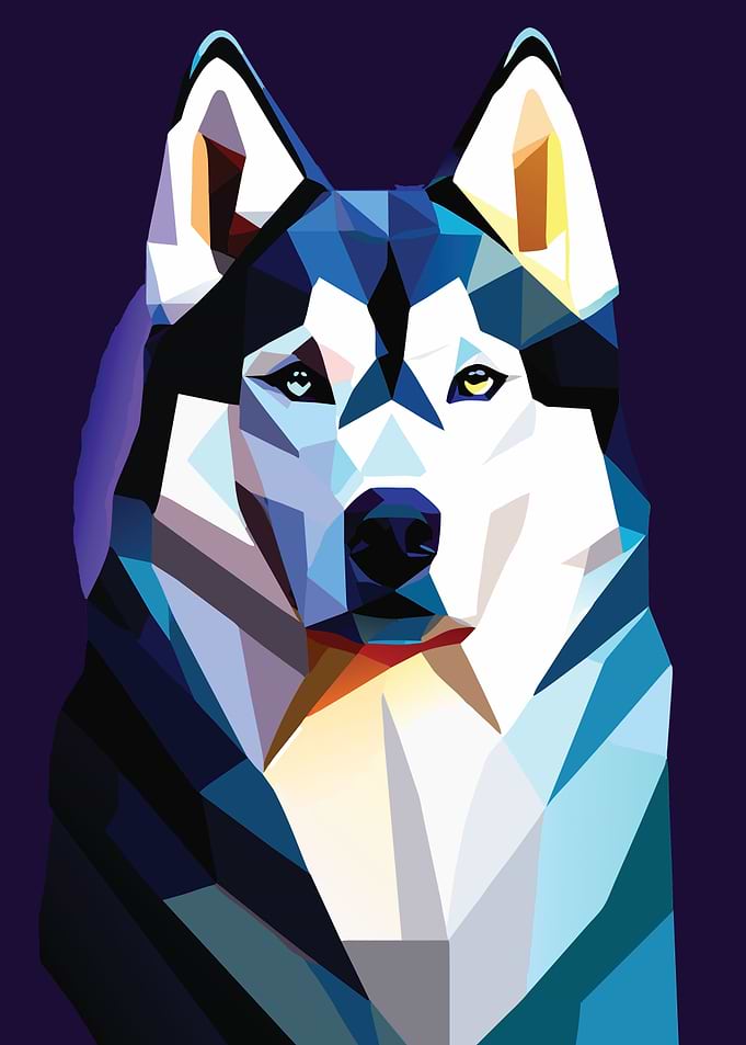 My Dog Siberian Husky