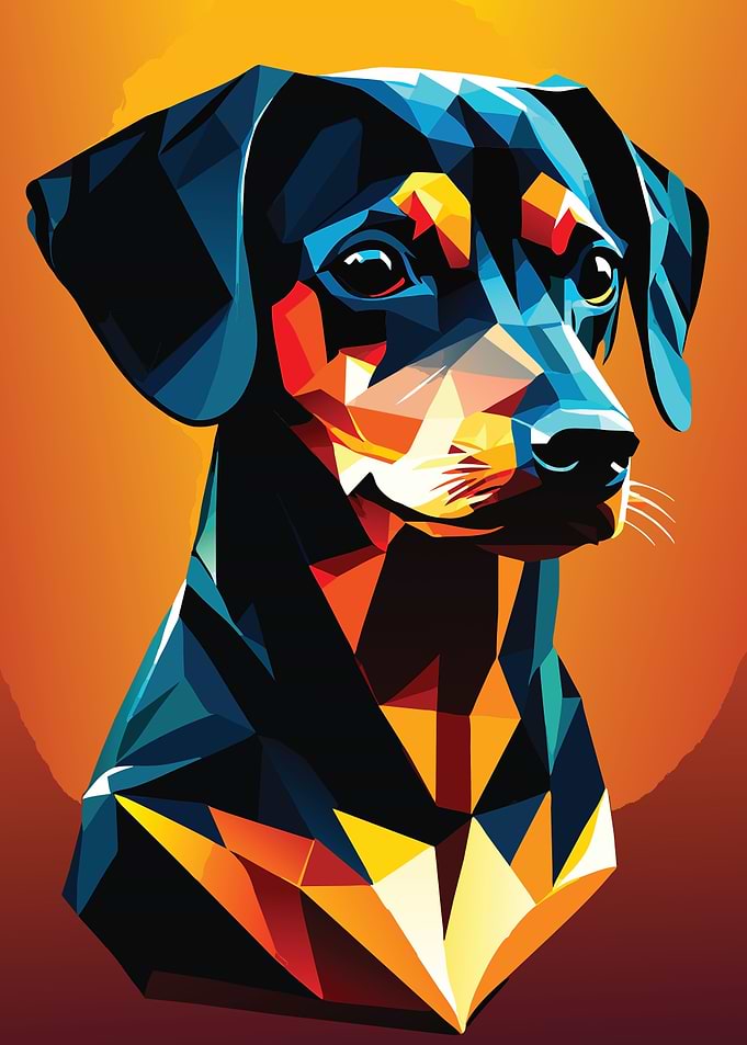 My Dog Dachshund