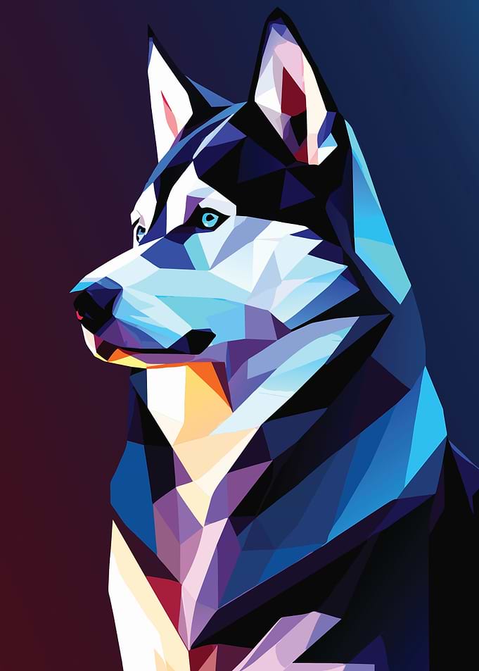 My Dog Siberian Husky