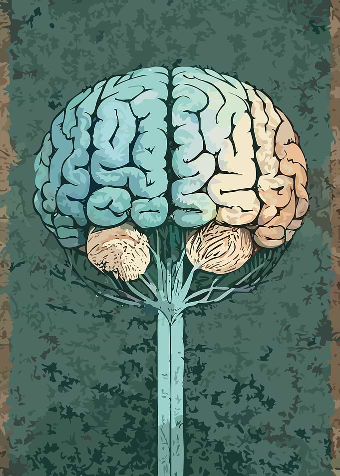 Brainy