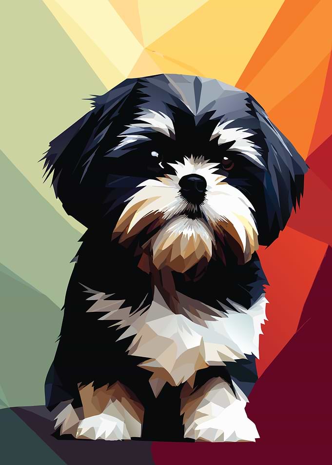 My Dog Shih Tzu