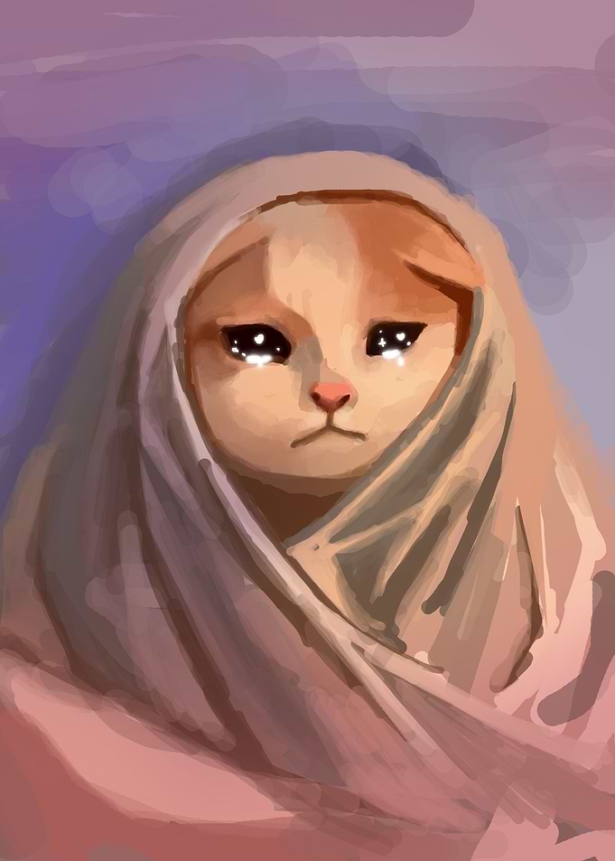 sad cat