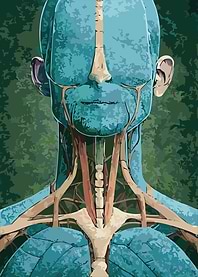 Blind Tissue