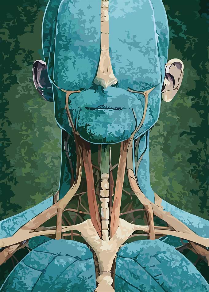 Blind Tissue