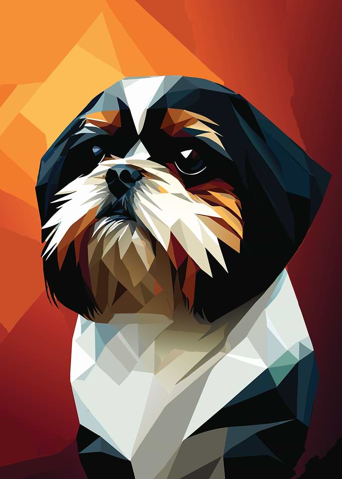 My Dog Shih Tzu