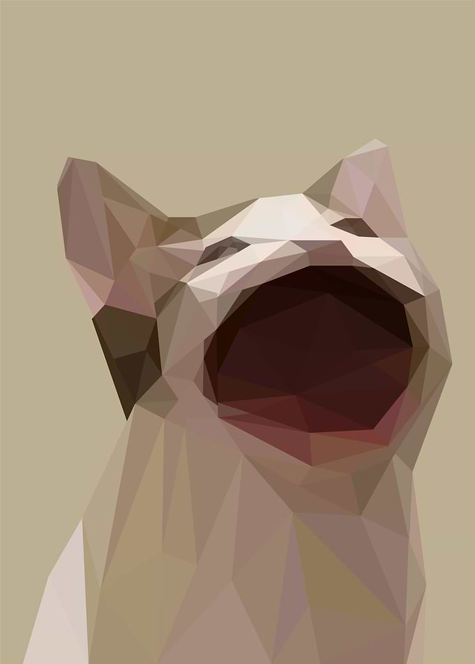 pop cat meme