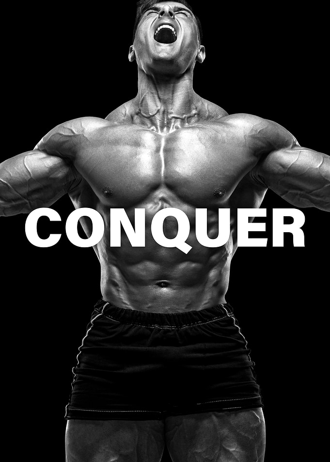 CONQUER Bodybuilding