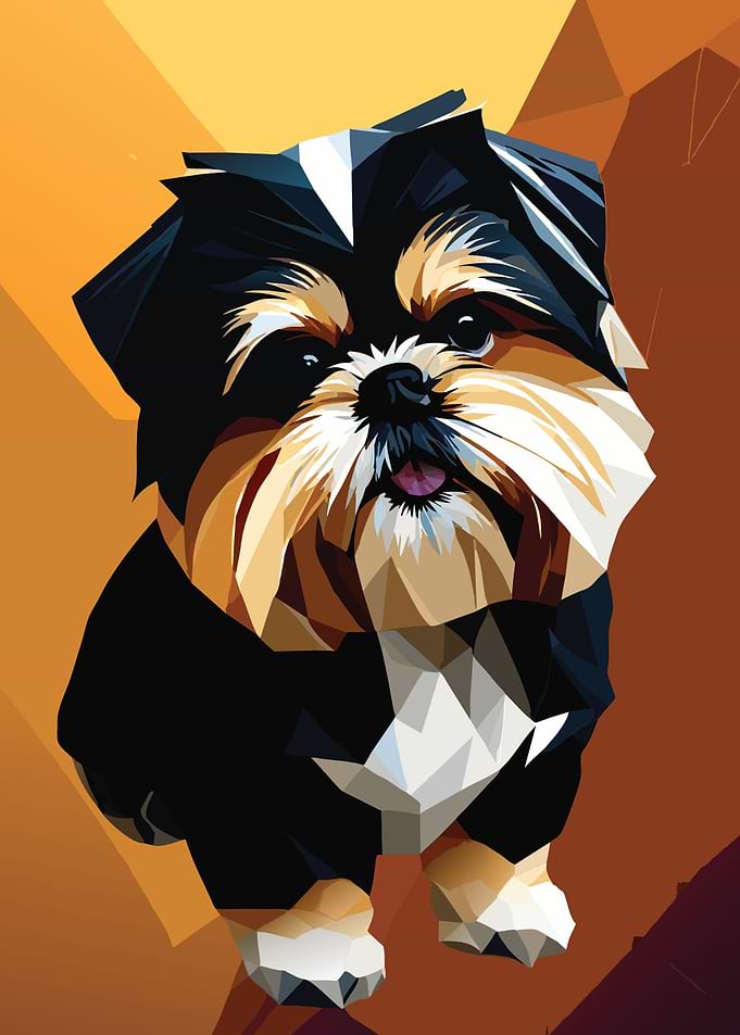 My Dog Shih Tzu
