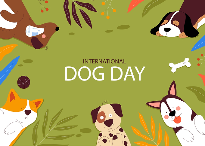 Animals Dog Day Best Art