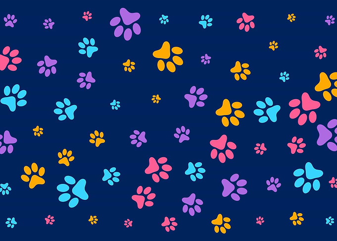 Animals Dog Day Best Art