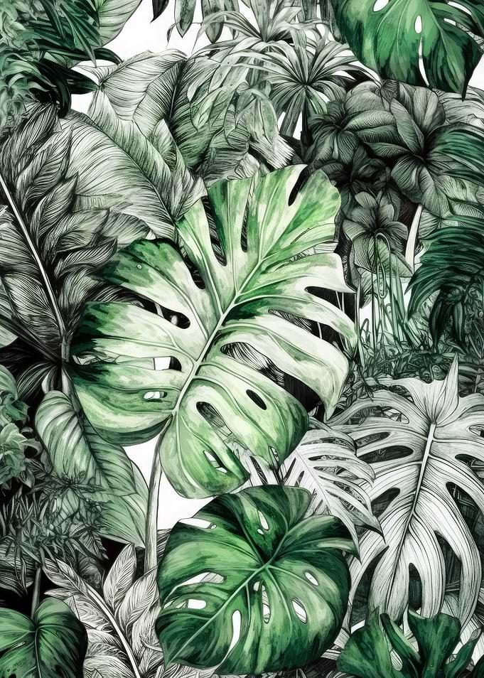 Tropical leaves