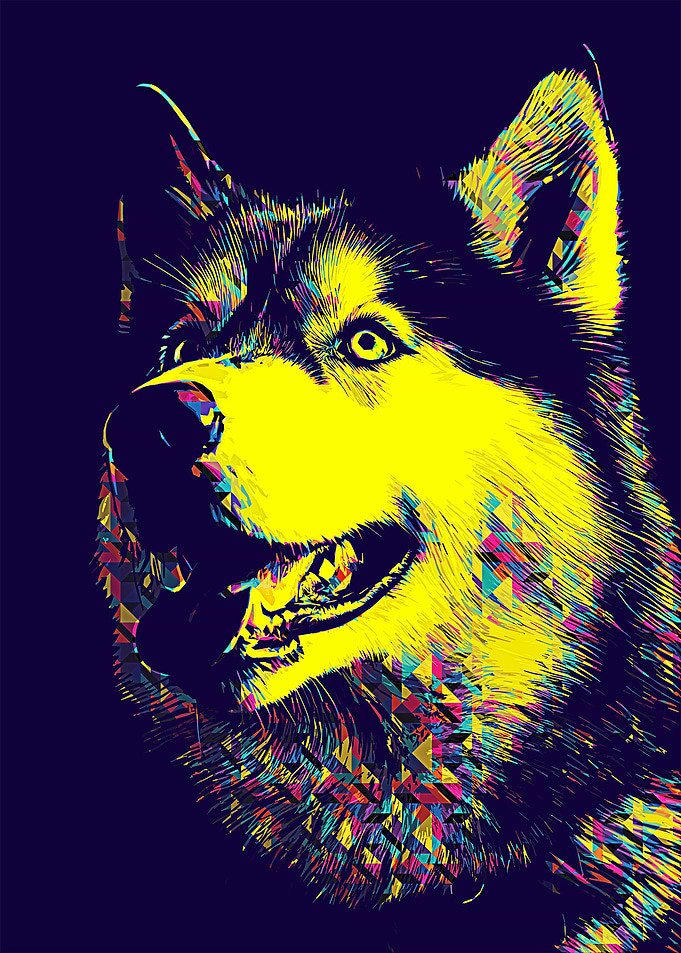 Dog pop art