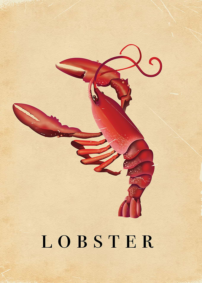 Lobster