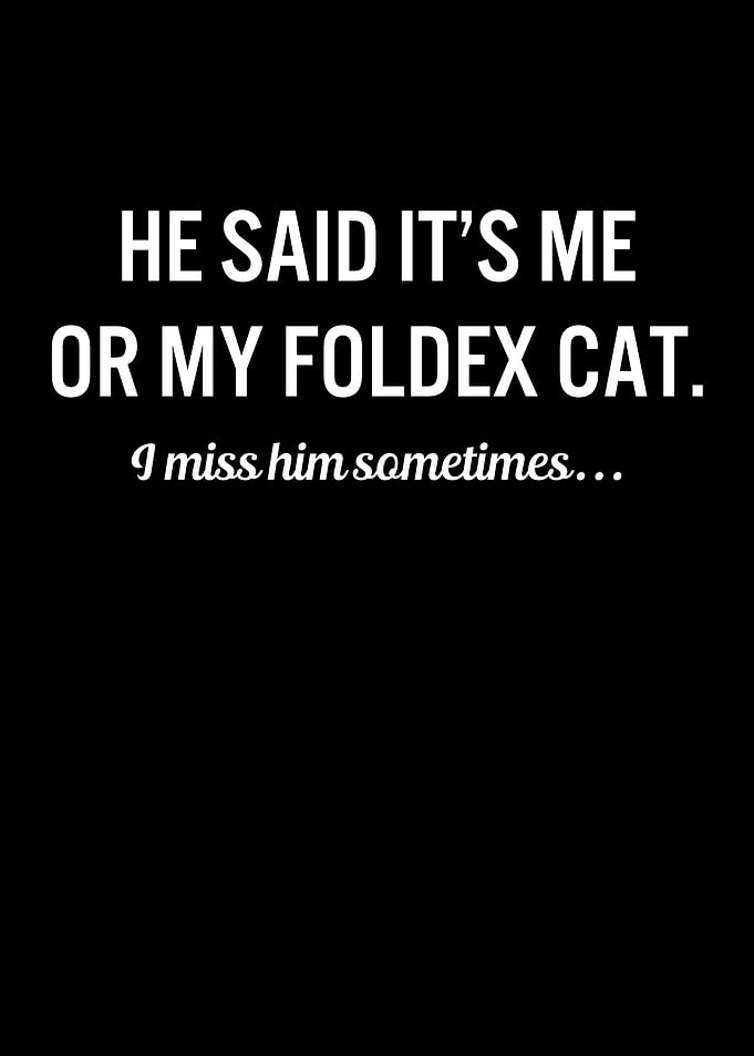 Funny Cats My Foldex Cat