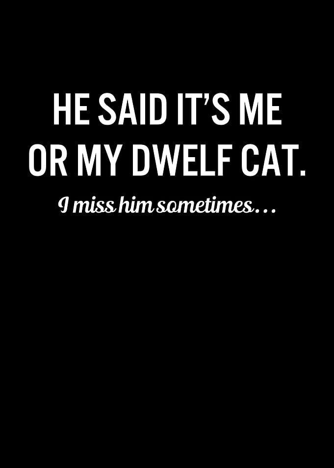 Funny Cats My Dwelf Cat