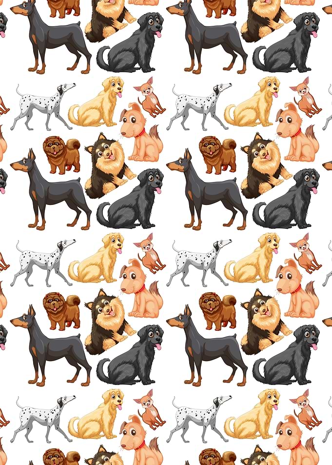 Animals Dog Day Best Art