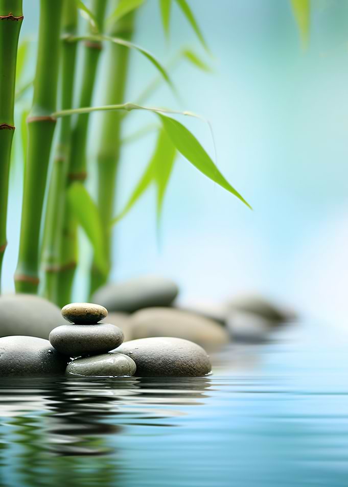 Zen bamboo creek