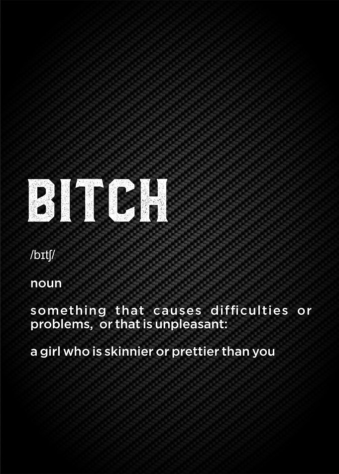 bitch funny defintion