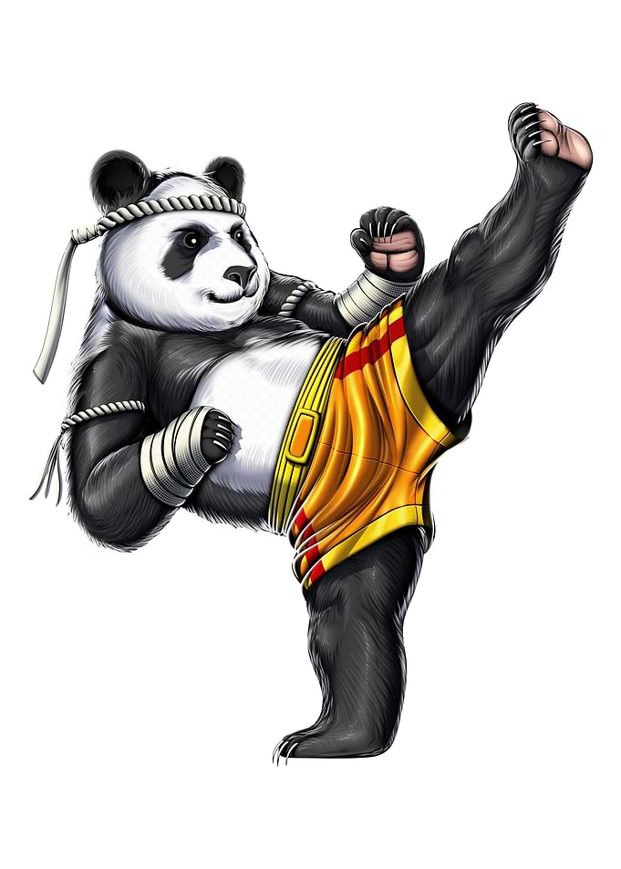 Panda Muay Thai Fighter