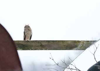 Night watchman